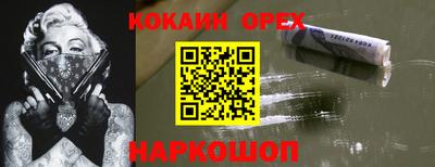 амф Сланцы