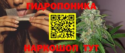 амф Сланцы