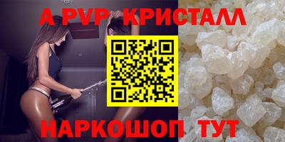 амф Сланцы