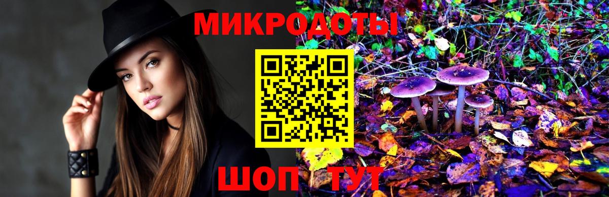 Галлюциногенные грибы Psilocybe Сафоново